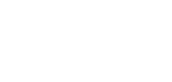 Butterfly Soiree Logo